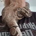 Mr Crotalus