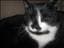 LUNAx